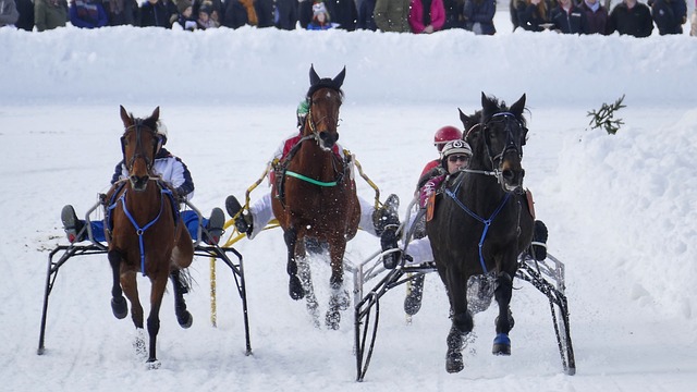 作为一位积 作为一位积