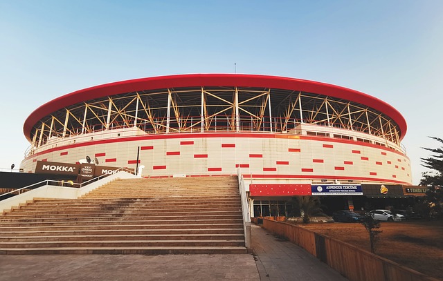 得分和组织 得分和组织