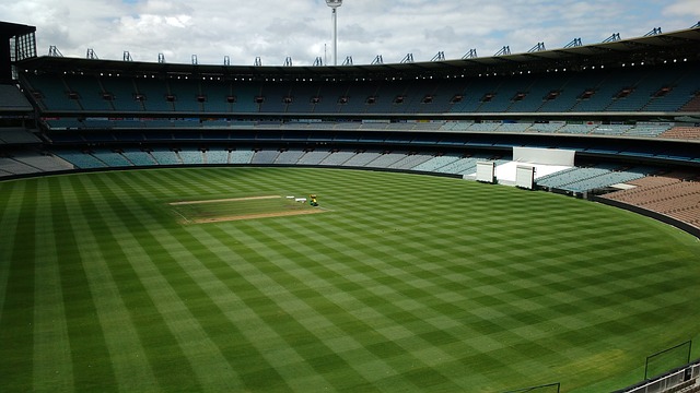 特的战术策 特的战术策