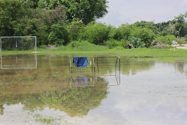 布朗尼的成 布朗尼的成