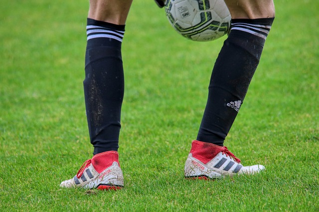 哈登联手可 哈登联手可