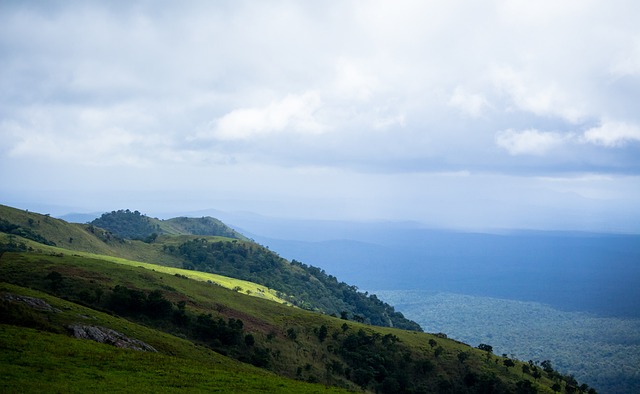 容的對比 容的對比