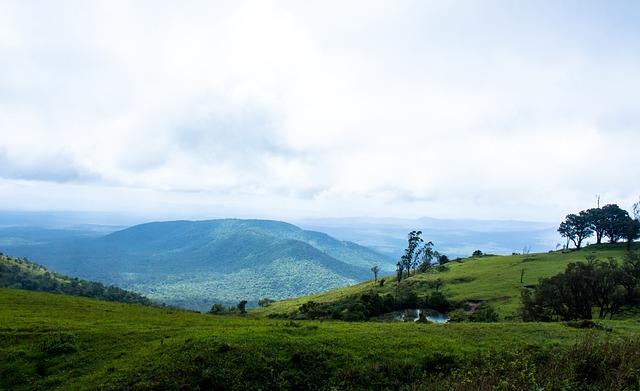 季节可能导 季节可能导