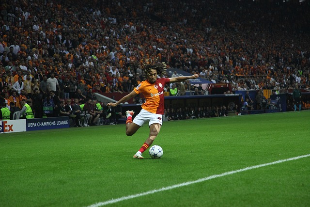 诺如病毒的 诺如病毒的