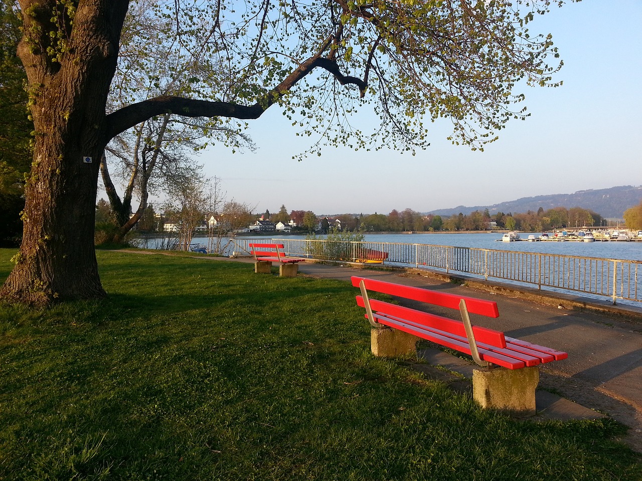 迪马利亚 迪马利亚